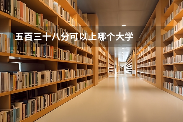 五百三十八分可以上哪个大学