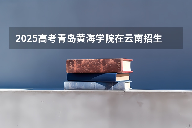 2025高考青岛黄海学院在云南招生计划
