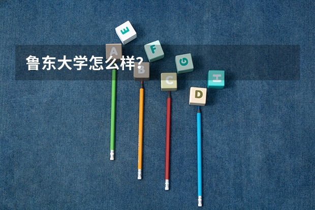 鲁东大学怎么样？