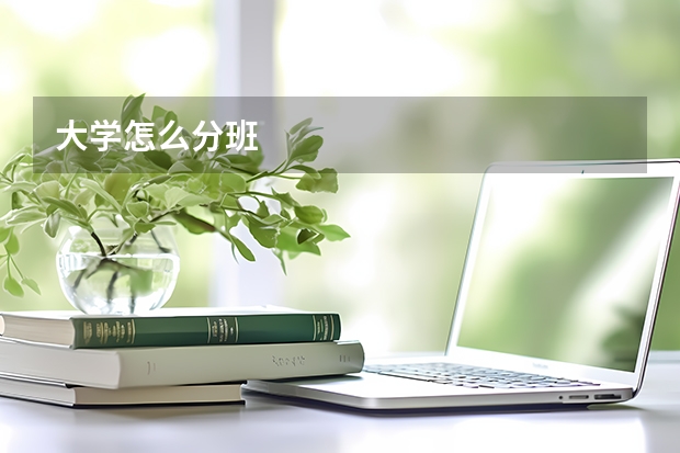 大学怎么分班