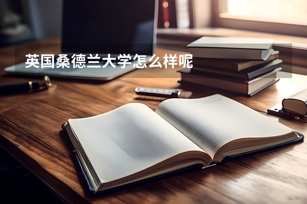 英国桑德兰大学怎么样呢