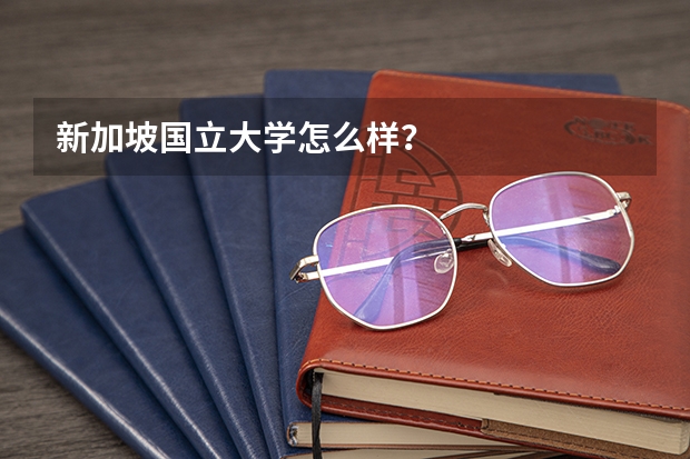 新加坡国立大学怎么样？