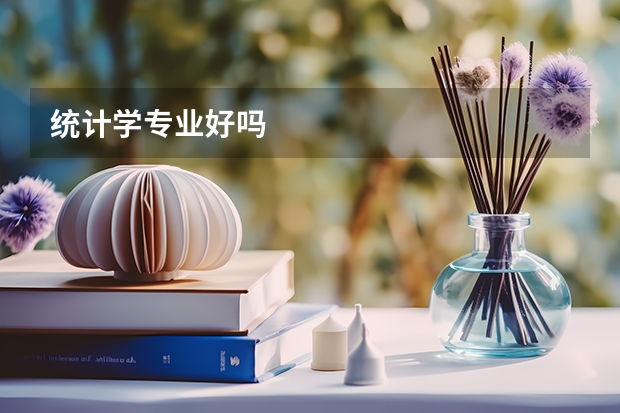 统计学专业好吗