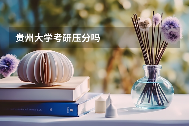 贵州大学考研压分吗