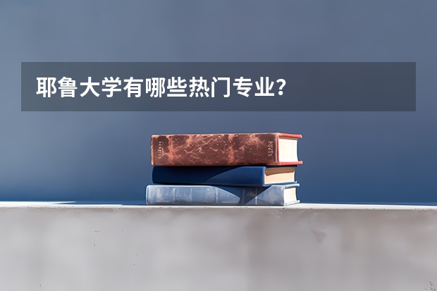 耶鲁大学有哪些热门专业？