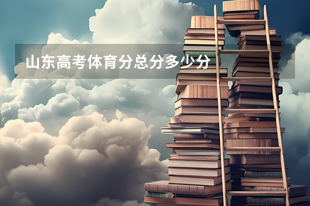 山东高考体育分总分多少分