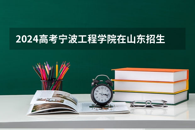 2024高考宁波工程学院在山东招生计划