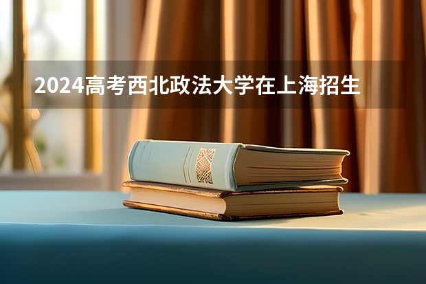 2024高考西北政法大学在上海招生计划