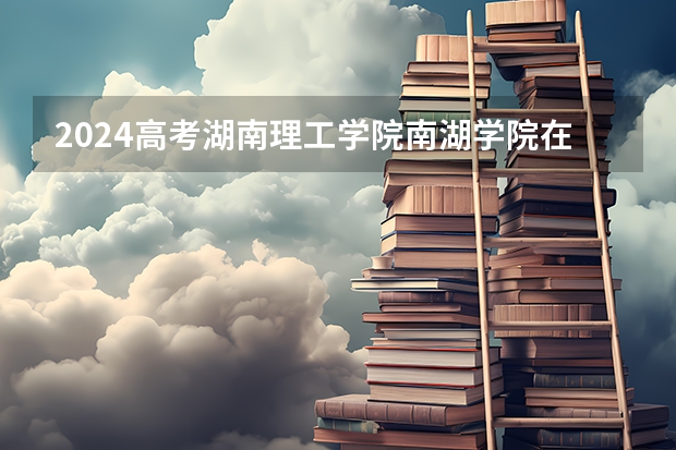 2024高考湖南理工学院南湖学院在山东招生计划