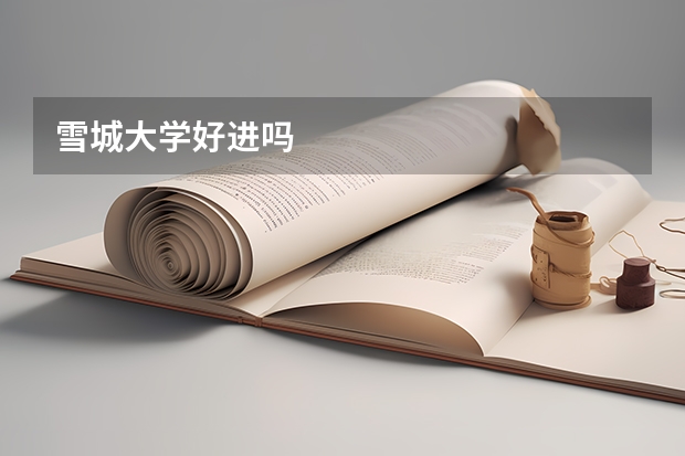 雪城大学好进吗
