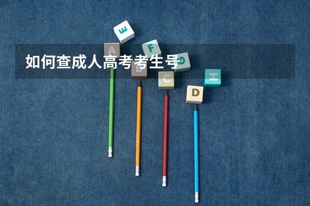 如何查成人高考考生号