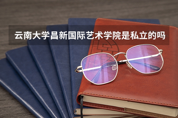 云南大学昌新国际艺术学院是私立的吗?