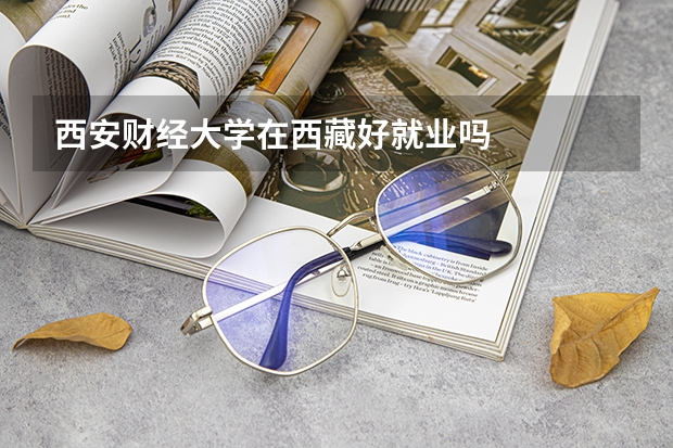 西安财经大学在西藏好就业吗