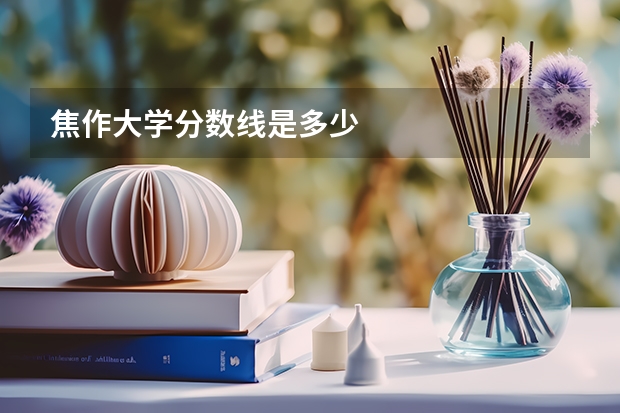 焦作大学分数线是多少