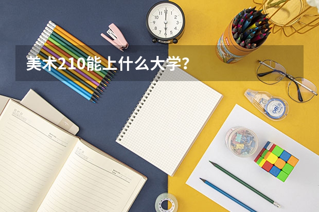 美术210能上什么大学？