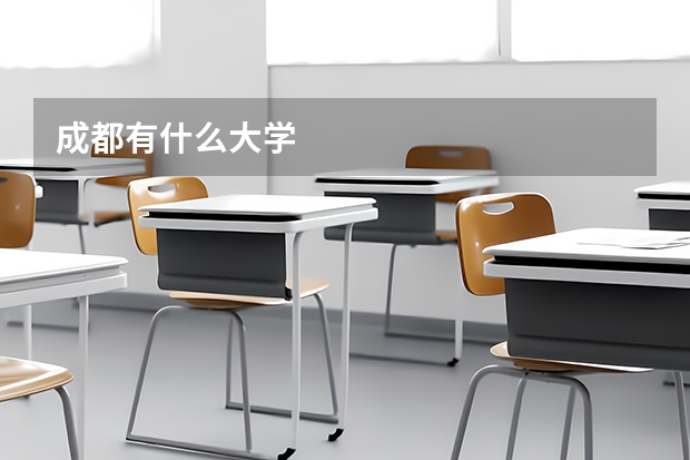 成都有什么大学
