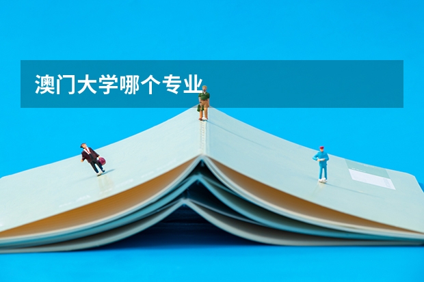 澳门大学哪个专业