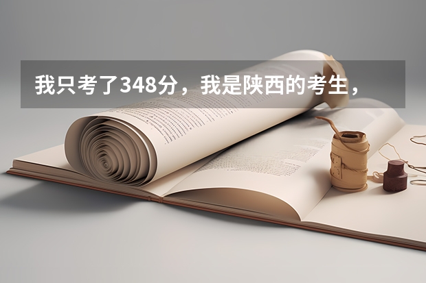 我只考了348分，我是陕西的考生，能上个什么的西安公办大学？