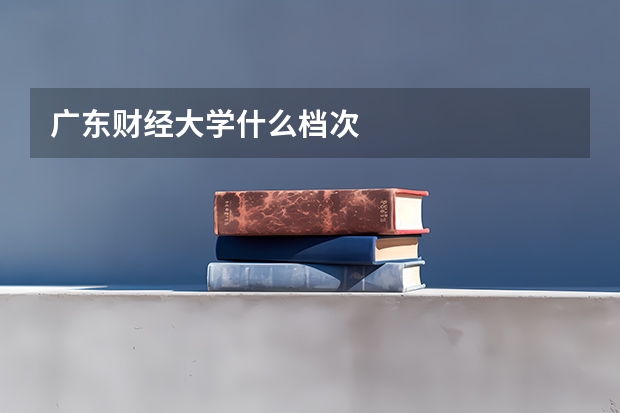广东财经大学什么档次