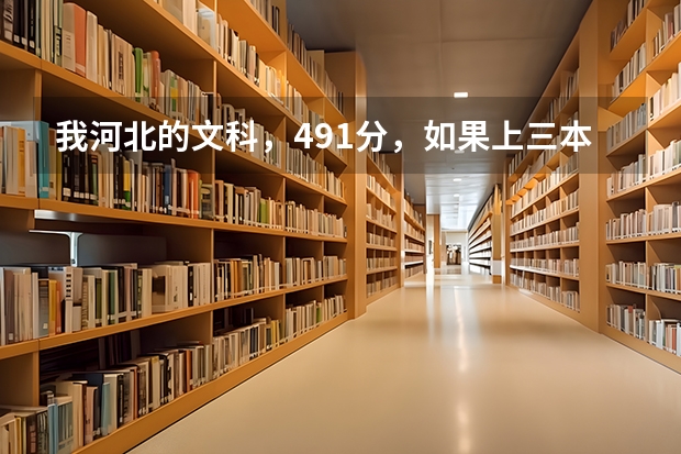 我河北的文科，491分，如果上三本上省内还是省外的好啊？报省内的话，那些学校好呢？帮帮忙。。。。