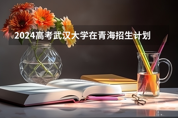2024高考武汉大学在青海招生计划
