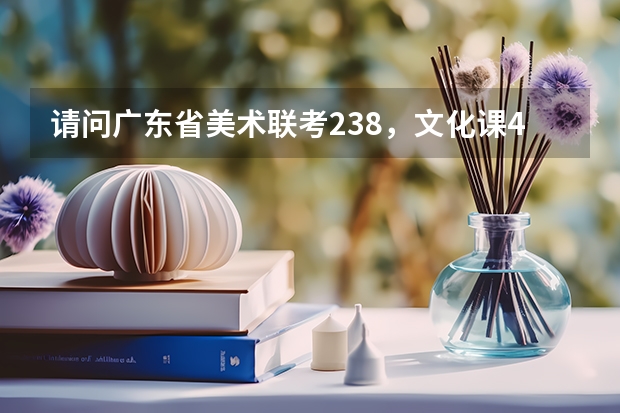 请问广东省美术联考238,文化课420左右,最划算的可能是哪个学校?虽然还不知分数线,但还是麻烦说