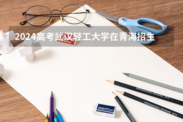 2024高考武汉轻工大学在青海招生计划