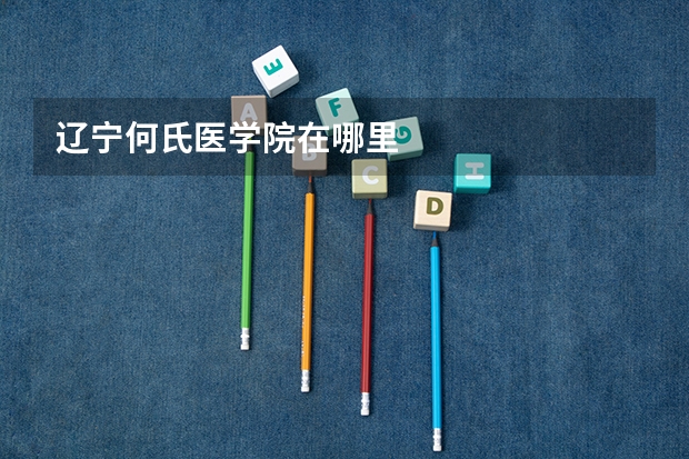 辽宁何氏医学院在哪里