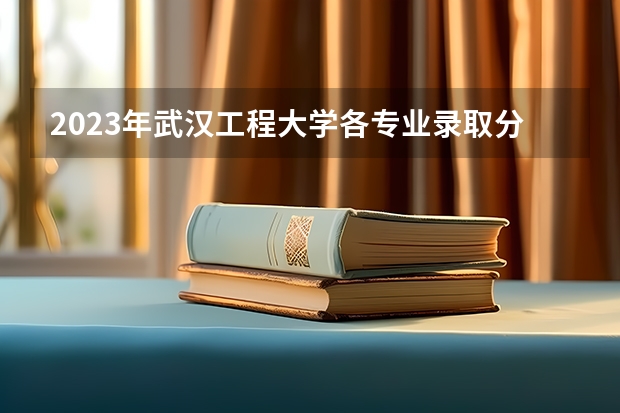 2023年武汉工程大学各专业录取分数线是多少？