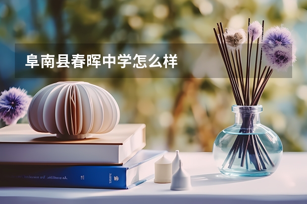 阜南县春晖中学怎么样