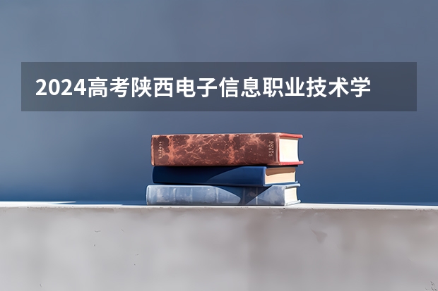 2024高考陕西电子信息职业技术学院在青海招生计划