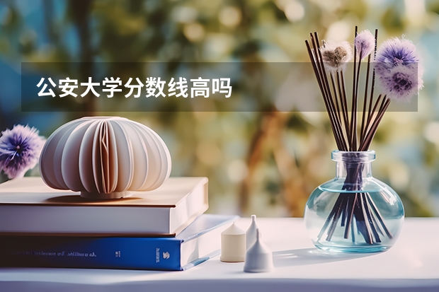 公安大学分数线高吗