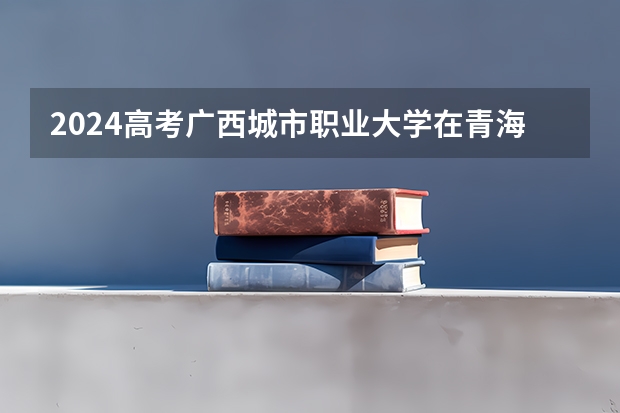 2024高考广西城市职业大学在青海招生计划