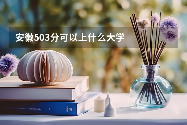 安徽503分可以上什么大学